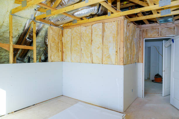 Best Specialized Insulation Services in Argyle, TX
