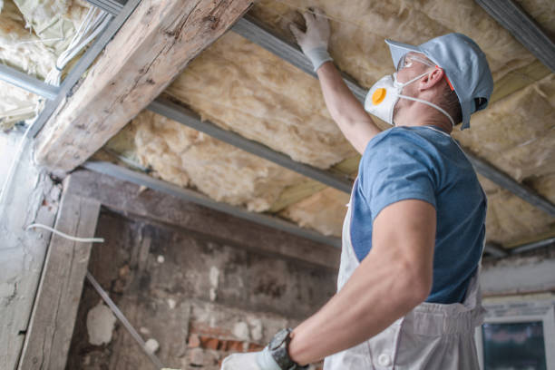 Best Cellulose Insulation in Argyle, TX