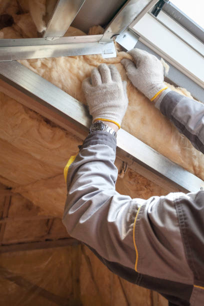 Best Residential Insulation in Argyle, TX