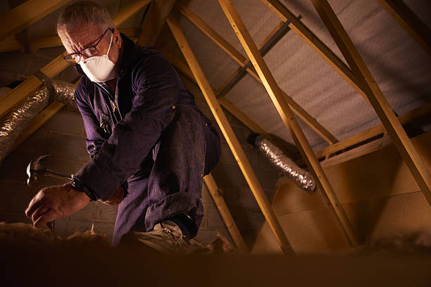Best Blown-in Insulation in Argyle, TX