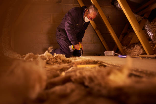 Types of Insulation We Offer in Argyle, TX